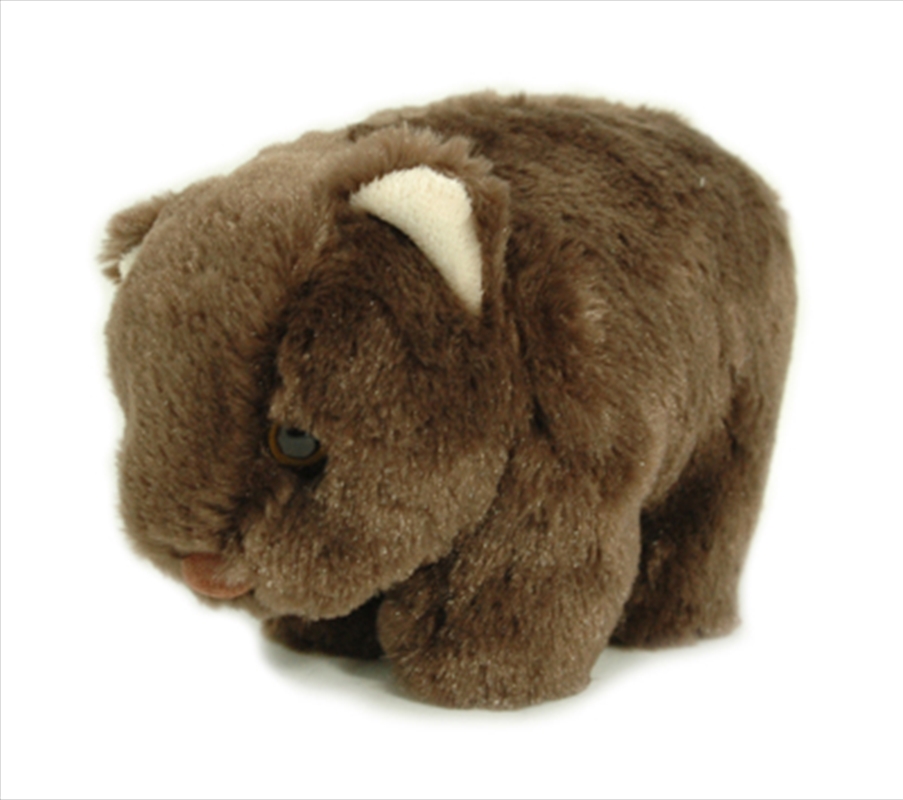 18cm Wombat/Product Detail/Plush Toys