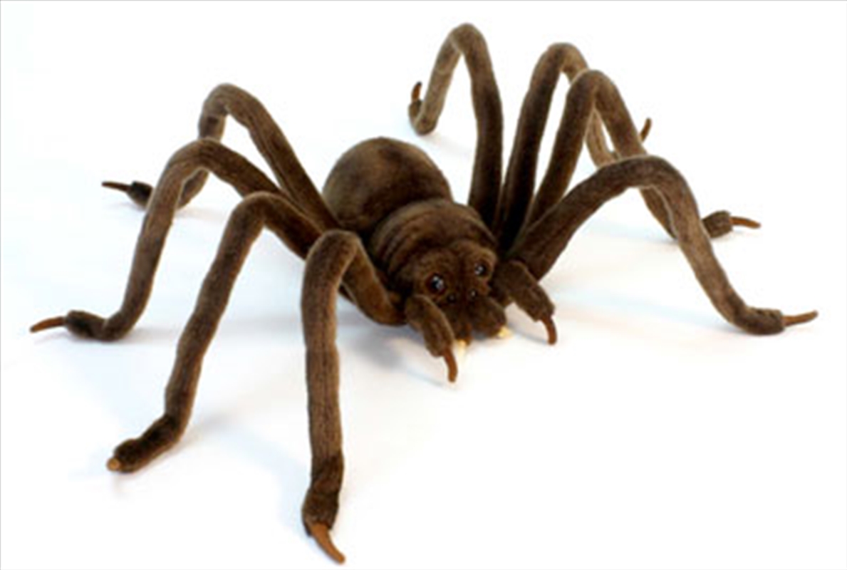 Huntsman Spider 50cm L/Product Detail/Plush Toys