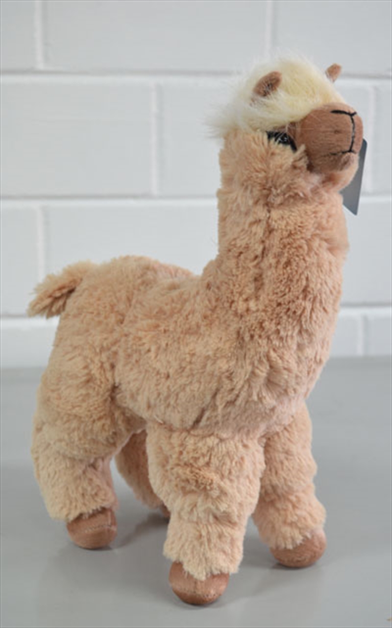 20cm Alpaca Cream/Product Detail/Plush Toys