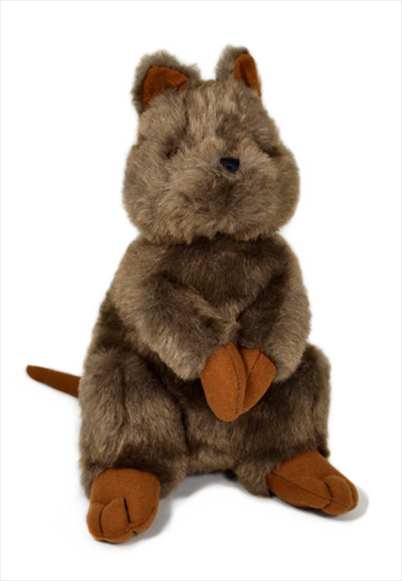 29cm Quokka/Product Detail/Plush Toys