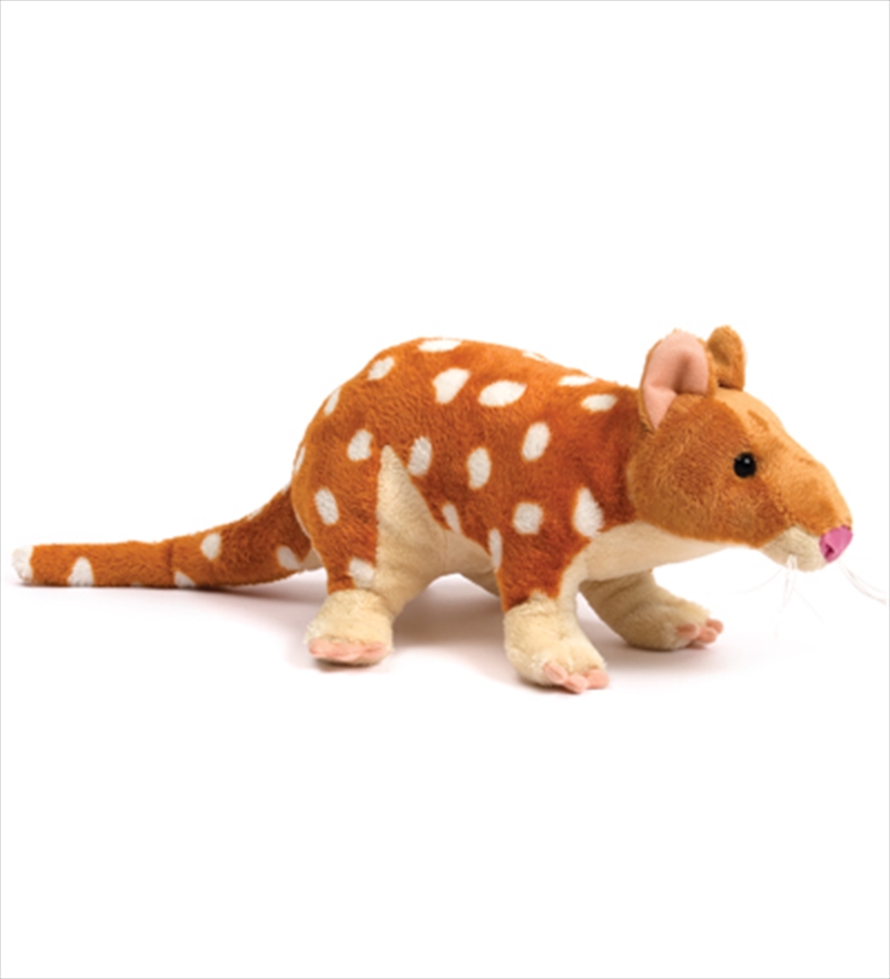 39cm Quoll/Product Detail/Plush Toys