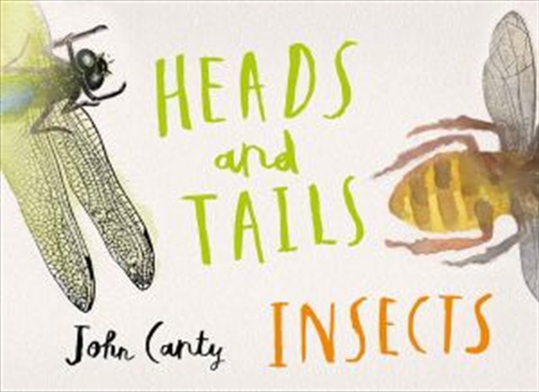 Heads And Tails: Insects/Product Detail/Childrens Fiction Books