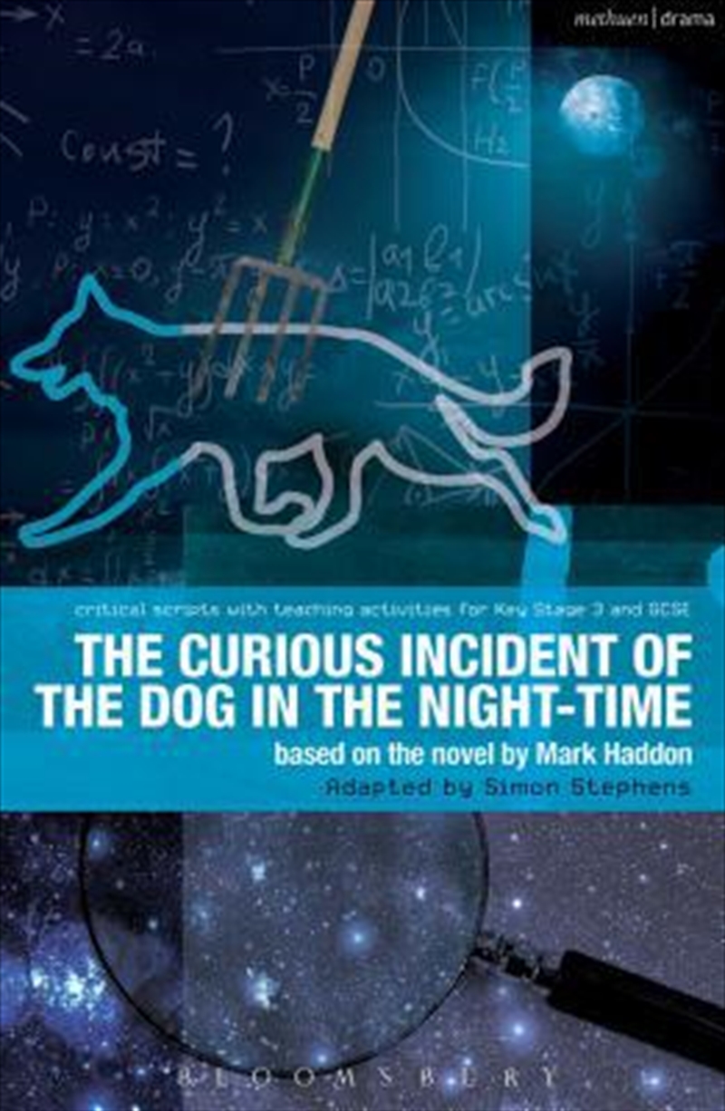 Curious Incident of the Dog in the/Product Detail/Childrens Fiction Books