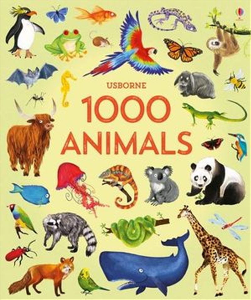 1000 Animals: 1000 Pictures/Product Detail/Animals & Nature