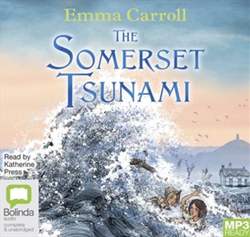 The Somerset Tsunami/Product Detail/Childrens Fiction Books