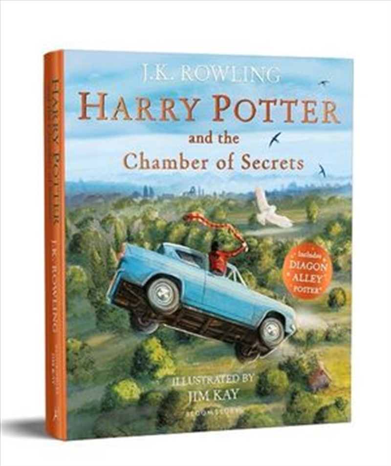 essay on harry potter and the chamber of secrets