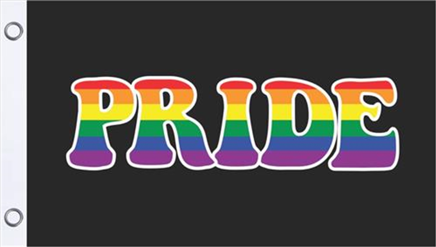 Buy Pride Flag 3'X5', Merchandise | Sanity