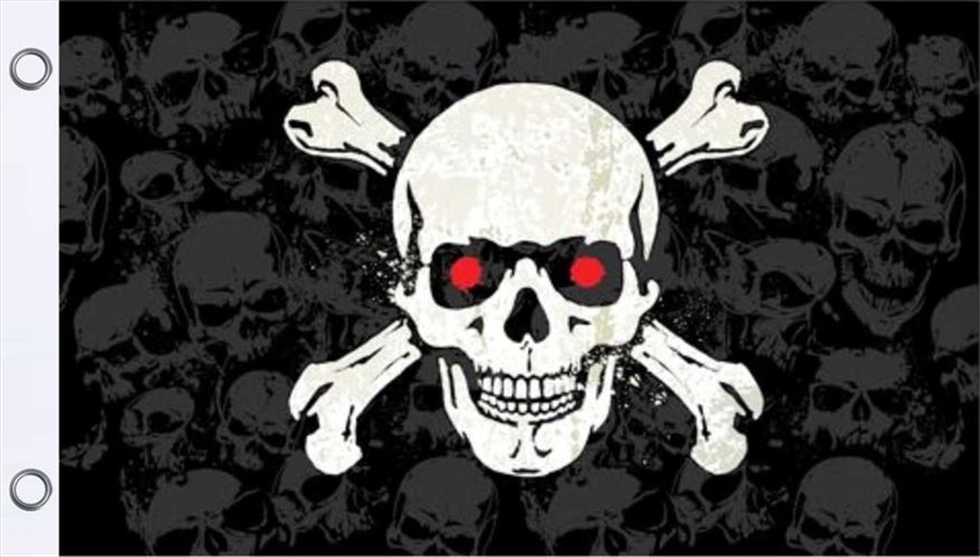 Skull And Crossbones 3'X5'/Product Detail/Posters & Prints