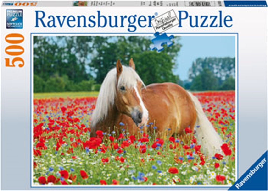 Horse In The Poppy Field 500 Piece Puzzle/Product Detail/Nature and Animals