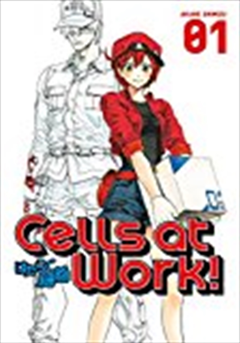 Cells At Work! 1/Product Detail/Manga