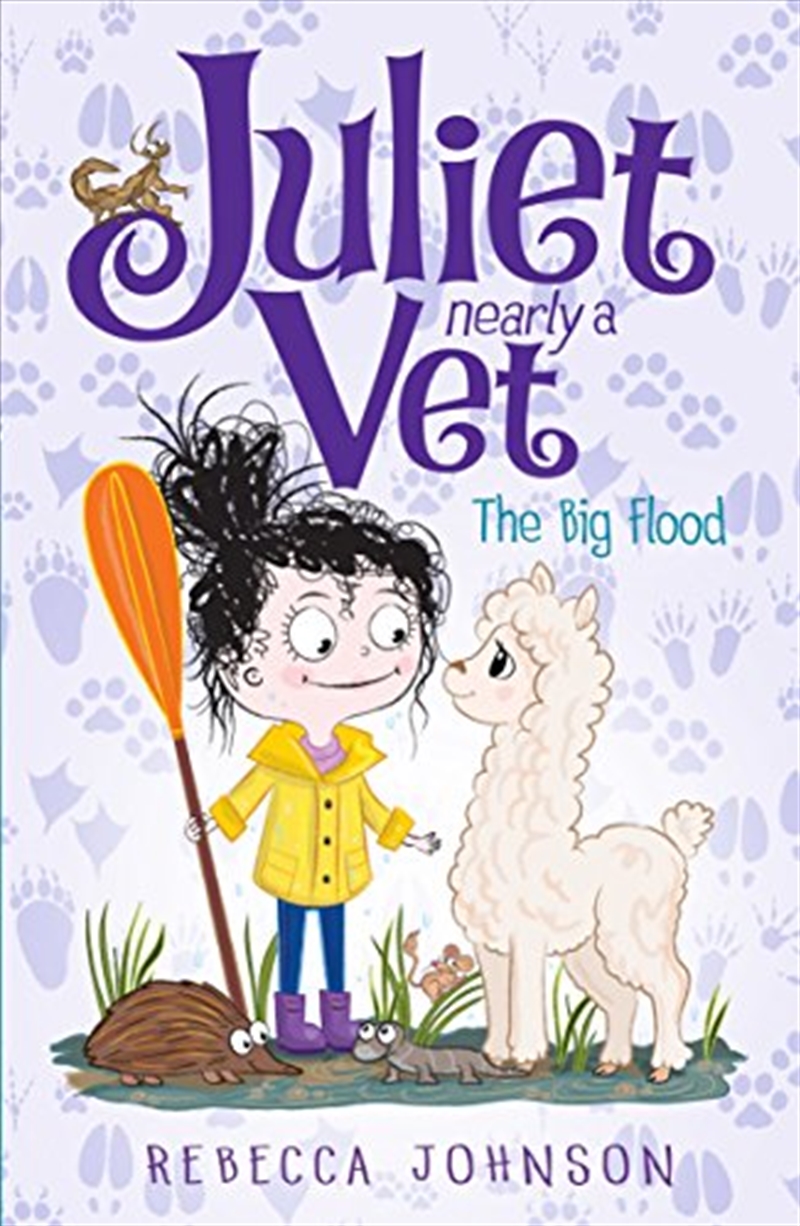 The Big Flood: Juliet, Nearly a Vet (Book 11)/Product Detail/Childrens Fiction Books