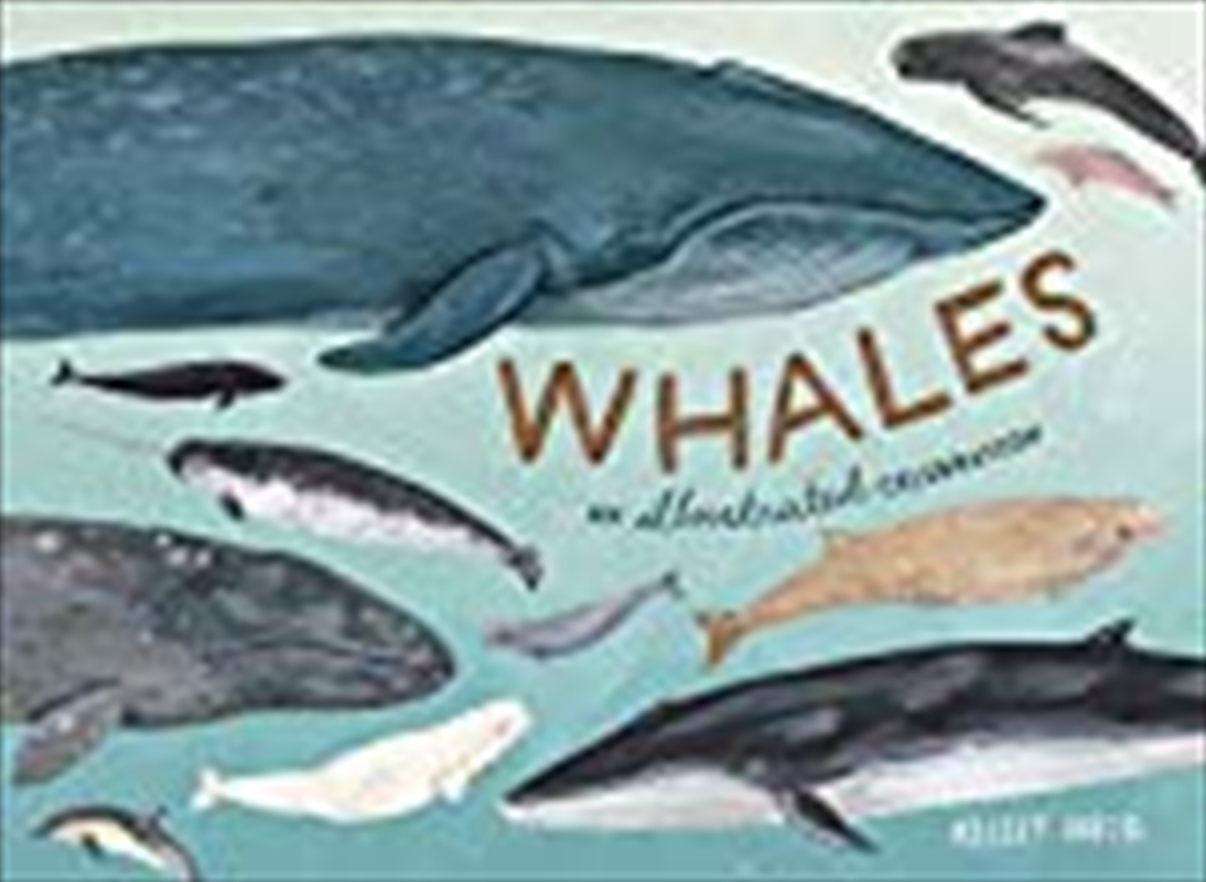 Whales/Product Detail/History