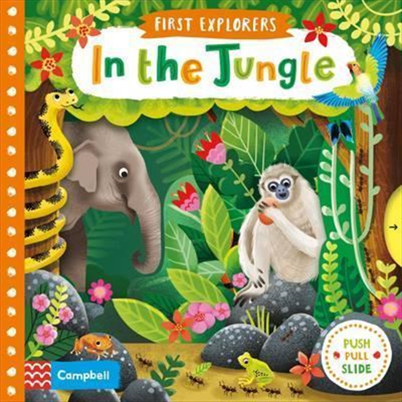 In The Jungle (first Explorers)/Product Detail/Animals & Nature