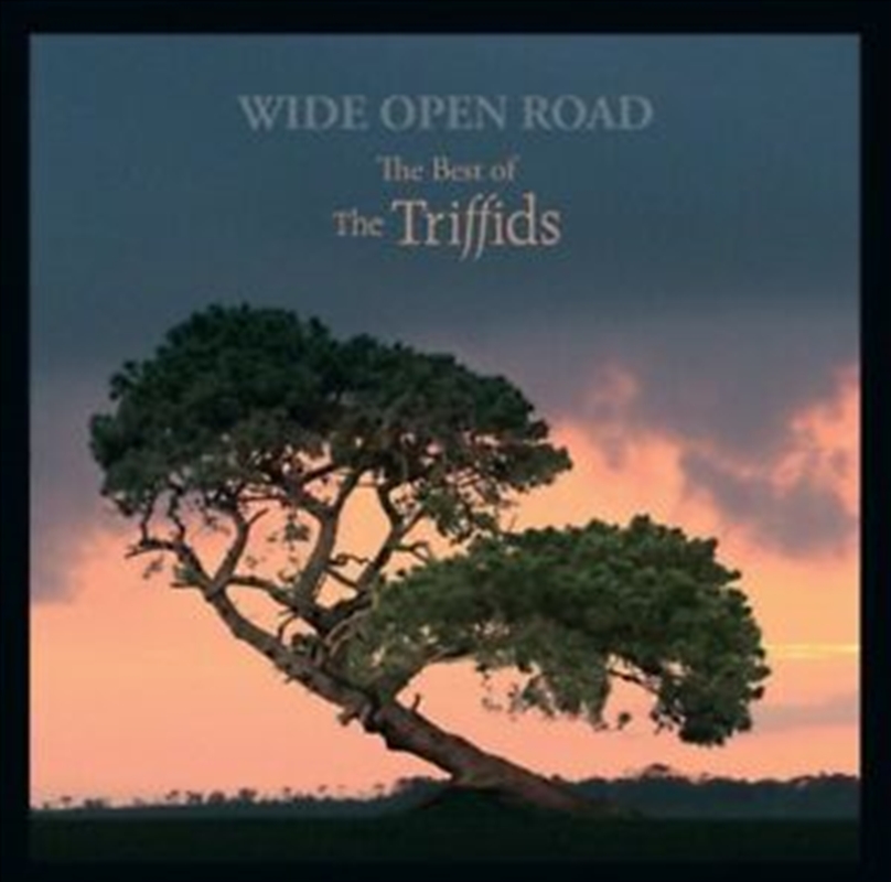 Wide Open Road - Best Of The Triffids/Product Detail/Alternative