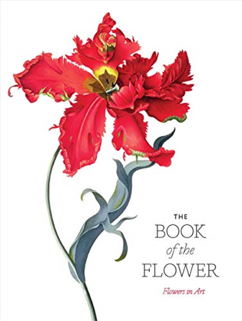 The Book Of The Flower: Flowers In Art/Product Detail/Reading