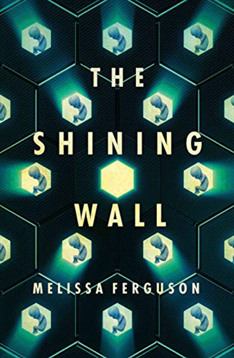 The Shining Wall/Product Detail/Reading