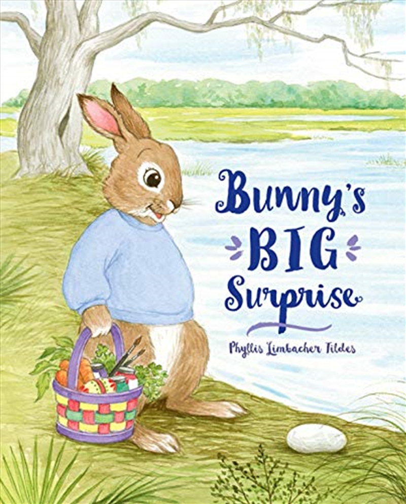 Bunny's Big Surprise/Product Detail/Childrens Fiction Books