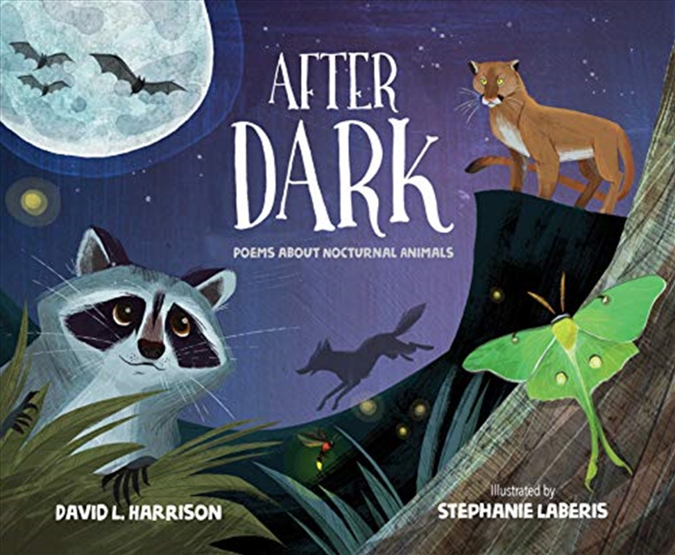 After Dark/Product Detail/Childrens Fiction Books