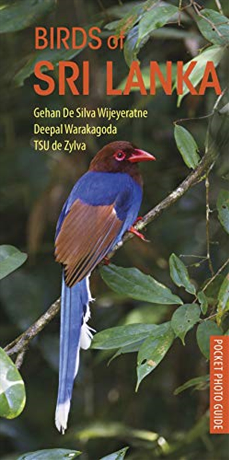 Birds Of Sri Lanka (pocket Photo Guides)/Product Detail/Animals & Nature