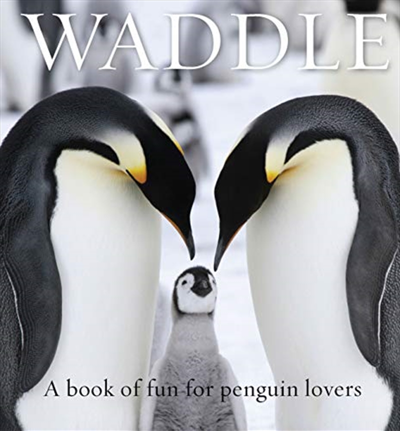 Waddle: A Book Of Fun For Penguin Lovers/Product Detail/Animals & Nature