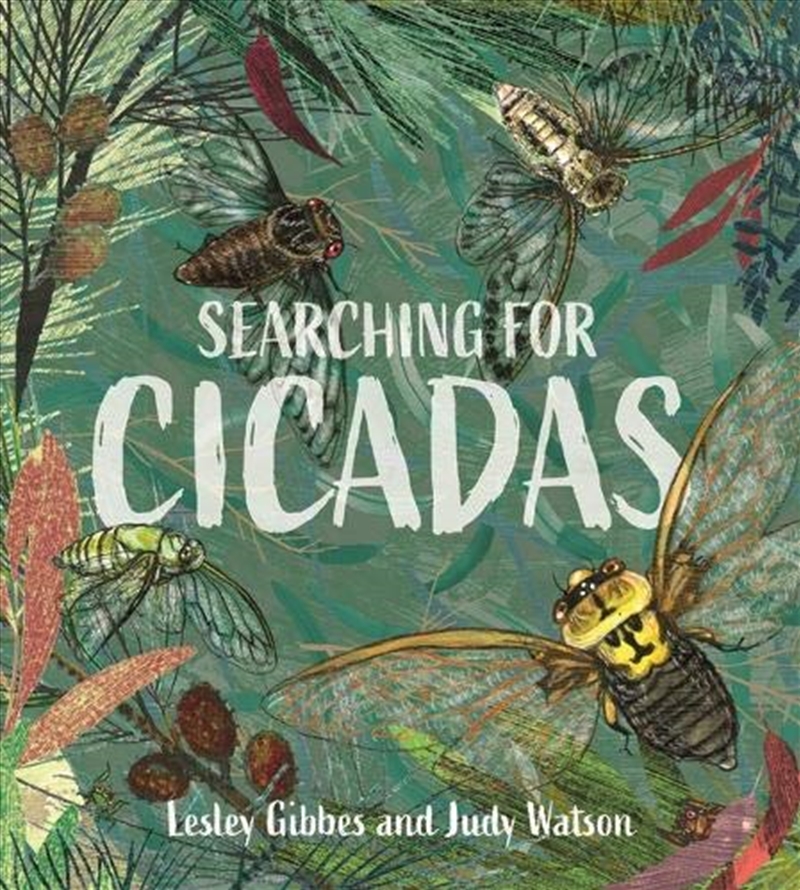 Buy Searching for Cicadas by Lesley Gibbes, Books | Sanity