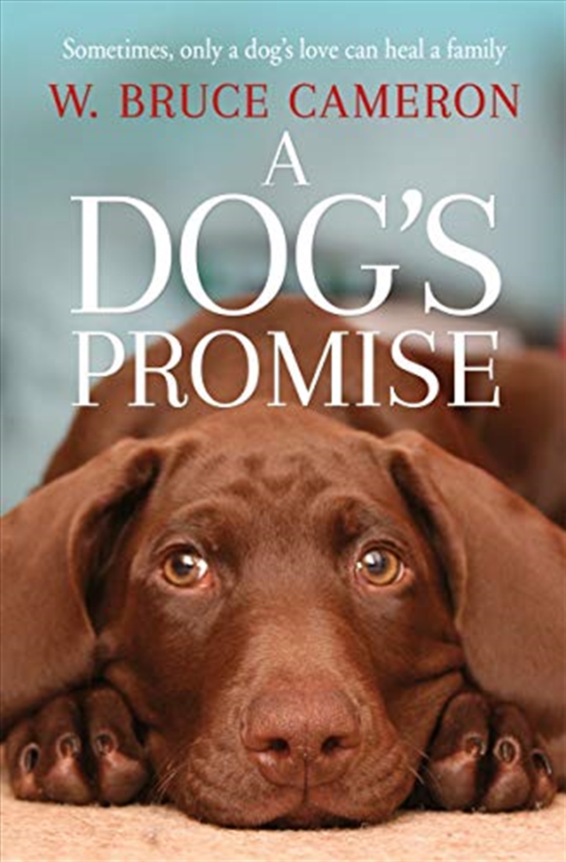 A Dog's Promise/Product Detail/Literature & Plays