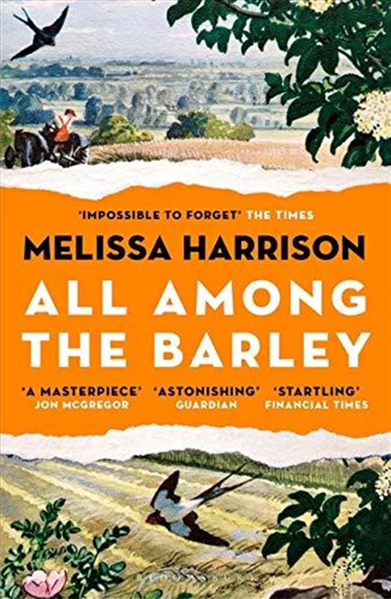 All Among The Barley/Product Detail/General Fiction Books