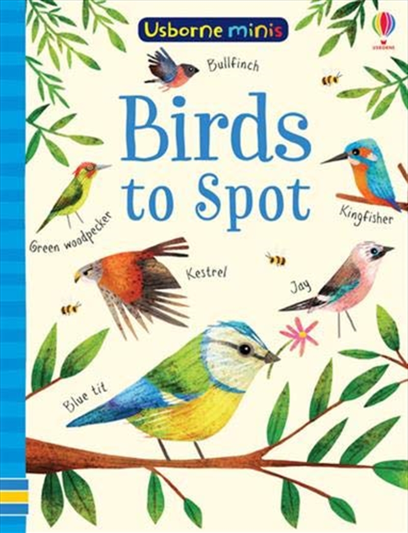 Birds To Spot - Mini Book/Product Detail/Childrens