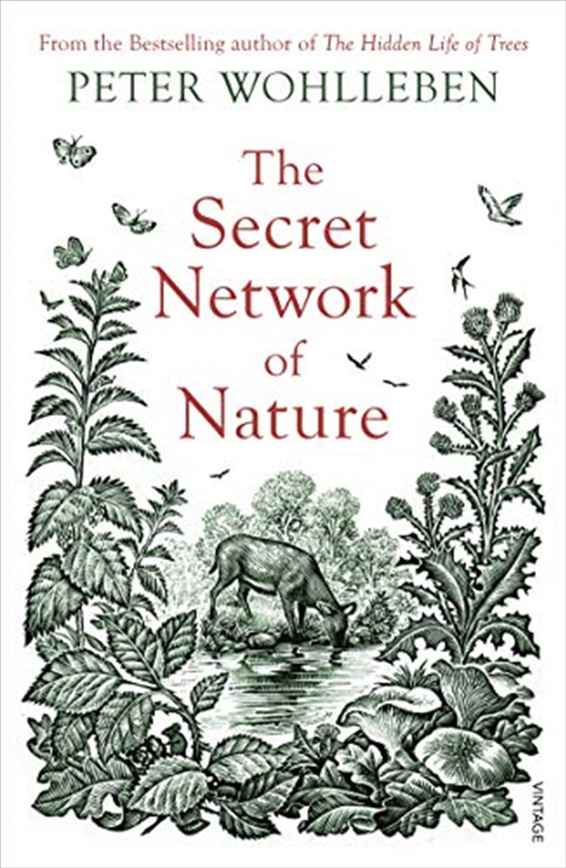 The Secret Network of Nature/Product Detail/Reading