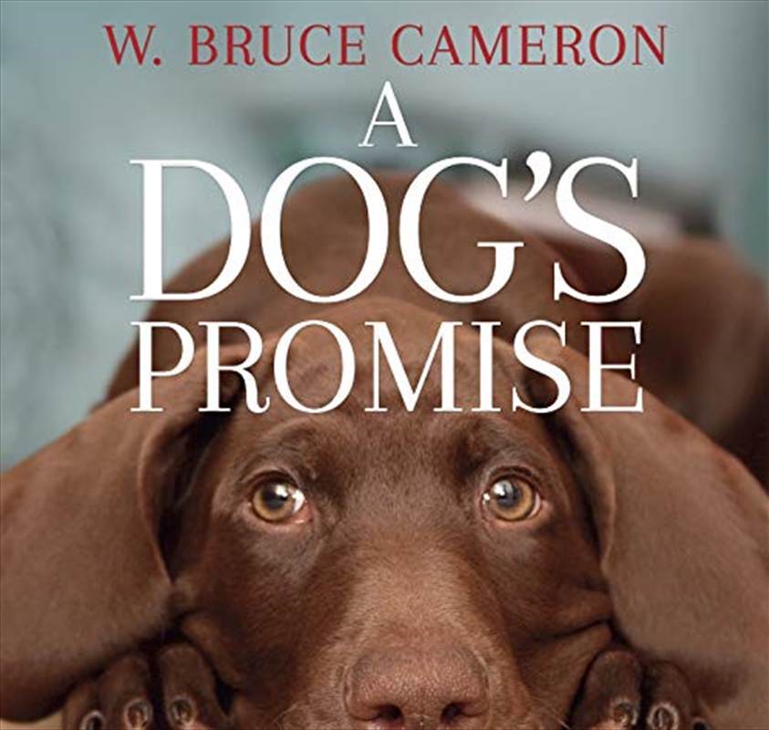 A Dog's Promise/Product Detail/Modern & Contemporary