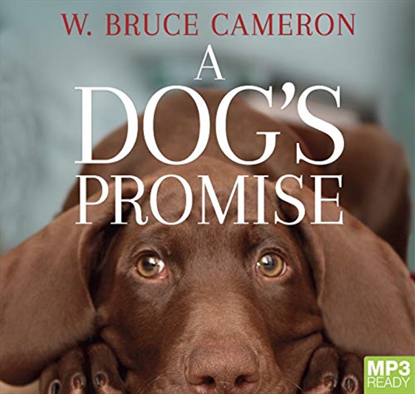 A Dog's Promise/Product Detail/Modern & Contemporary