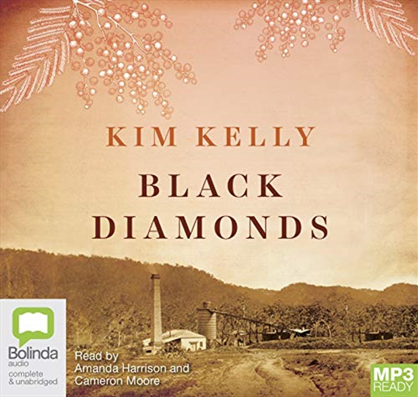 Black Diamonds/Product Detail/Australian Fiction Books