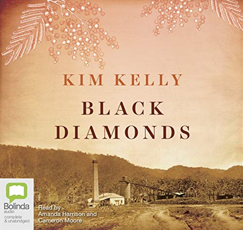 Black Diamonds/Product Detail/Australian Fiction Books