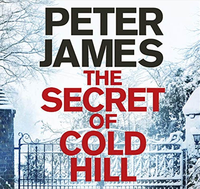 The Secret of Cold Hill/Product Detail/Thrillers & Horror Books