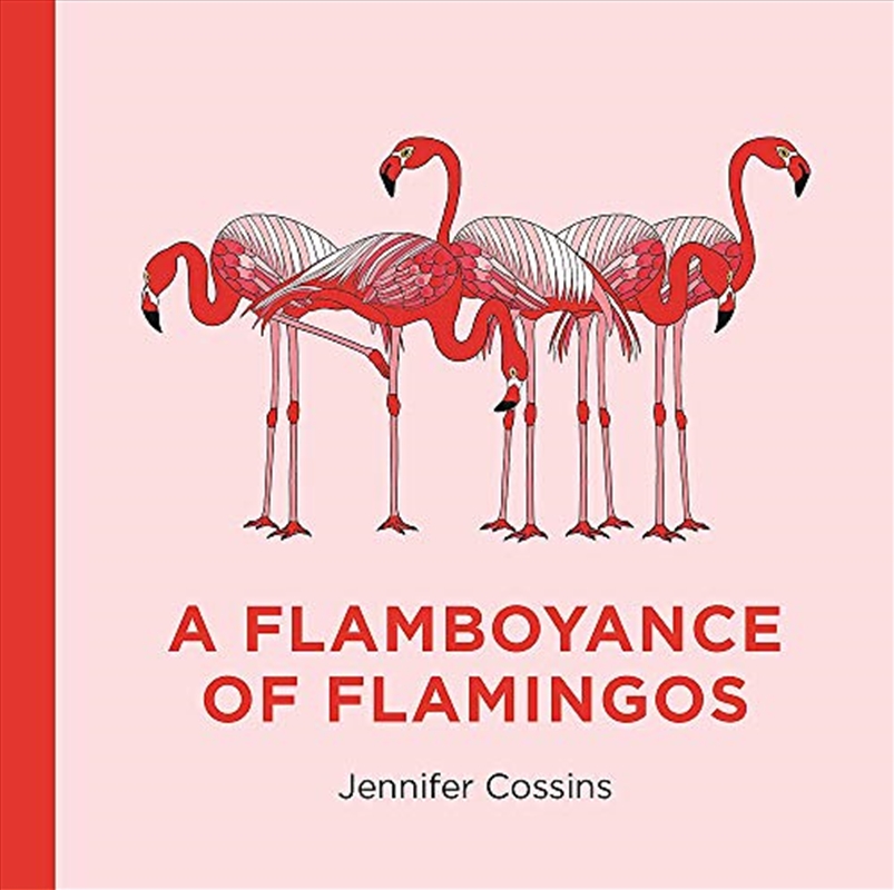 A Flamboyance Of Flamingos/Product Detail/Childrens