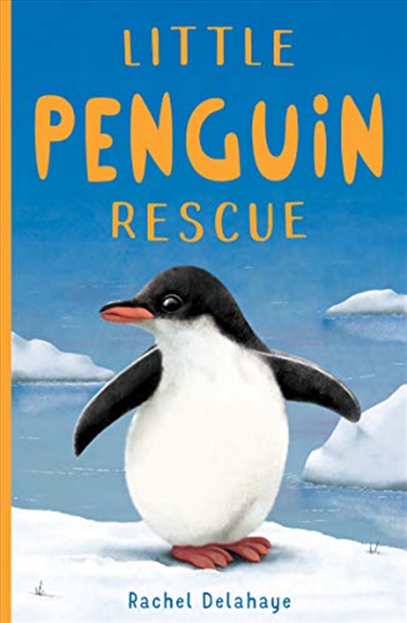 Little Penguin Rescue (little Animal Rescue)/Product Detail/Children