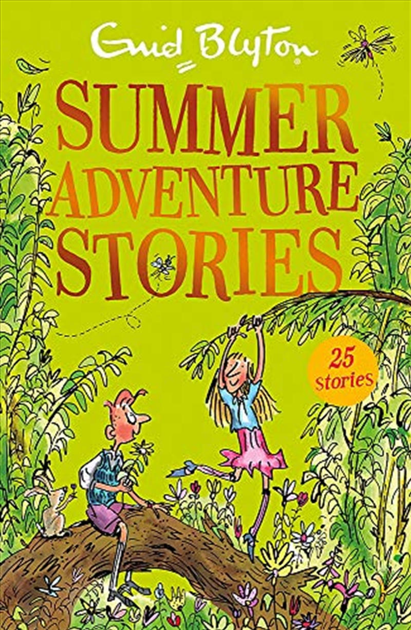 Summer Adventure Stories/Product Detail/Childrens Fiction Books