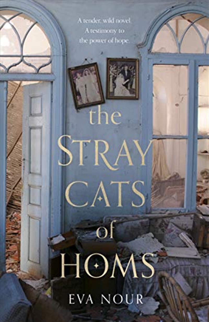 The Stray Cats of Homs/Product Detail/Literature & Poetry