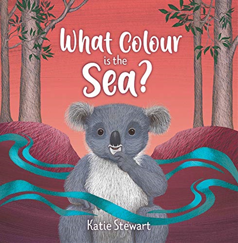 What Colour is the Sea?/Product Detail/Childrens Fiction Books