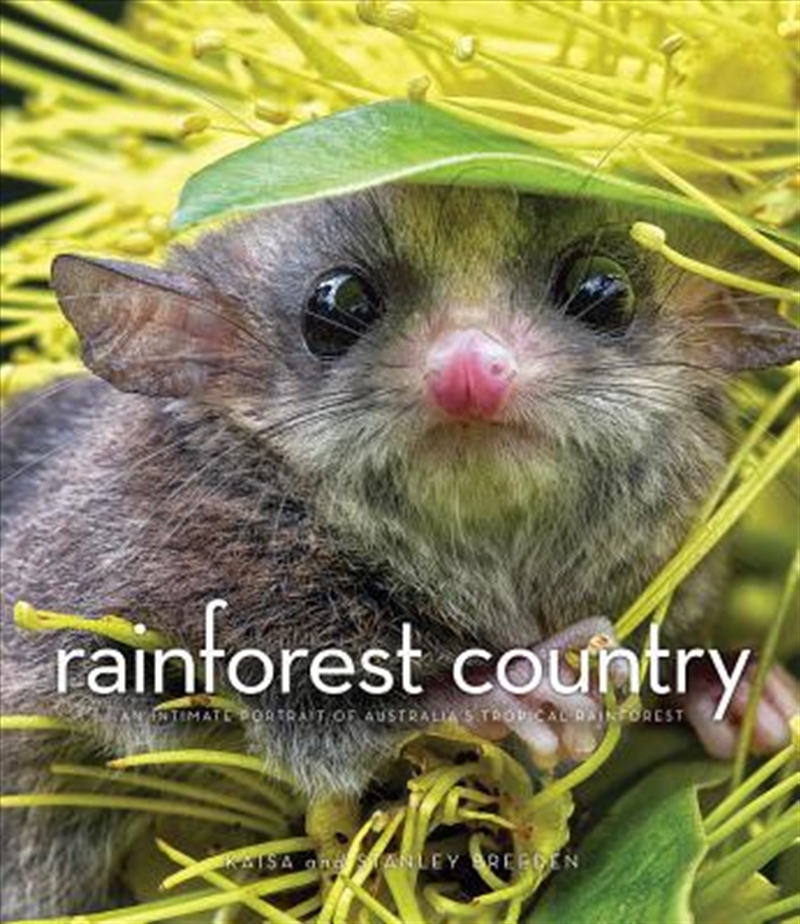 Rainforest Country/Product Detail/Politics & Government