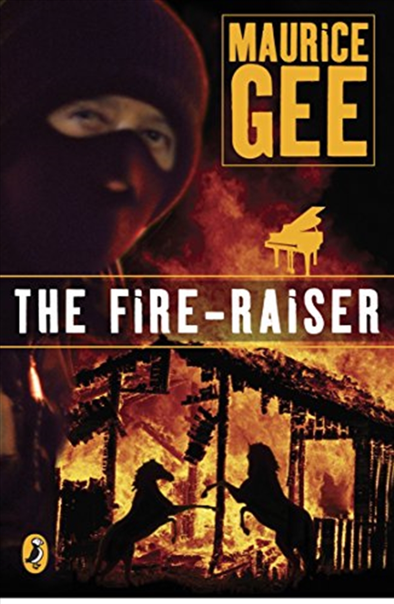 The Fire-Raiser/Product Detail/Childrens Fiction Books