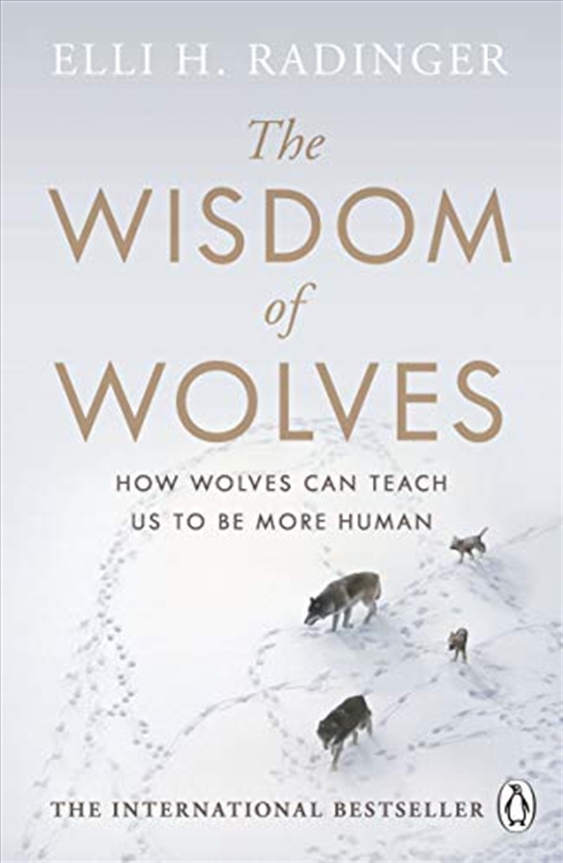 The Wisdom of Wolves/Product Detail/Reading