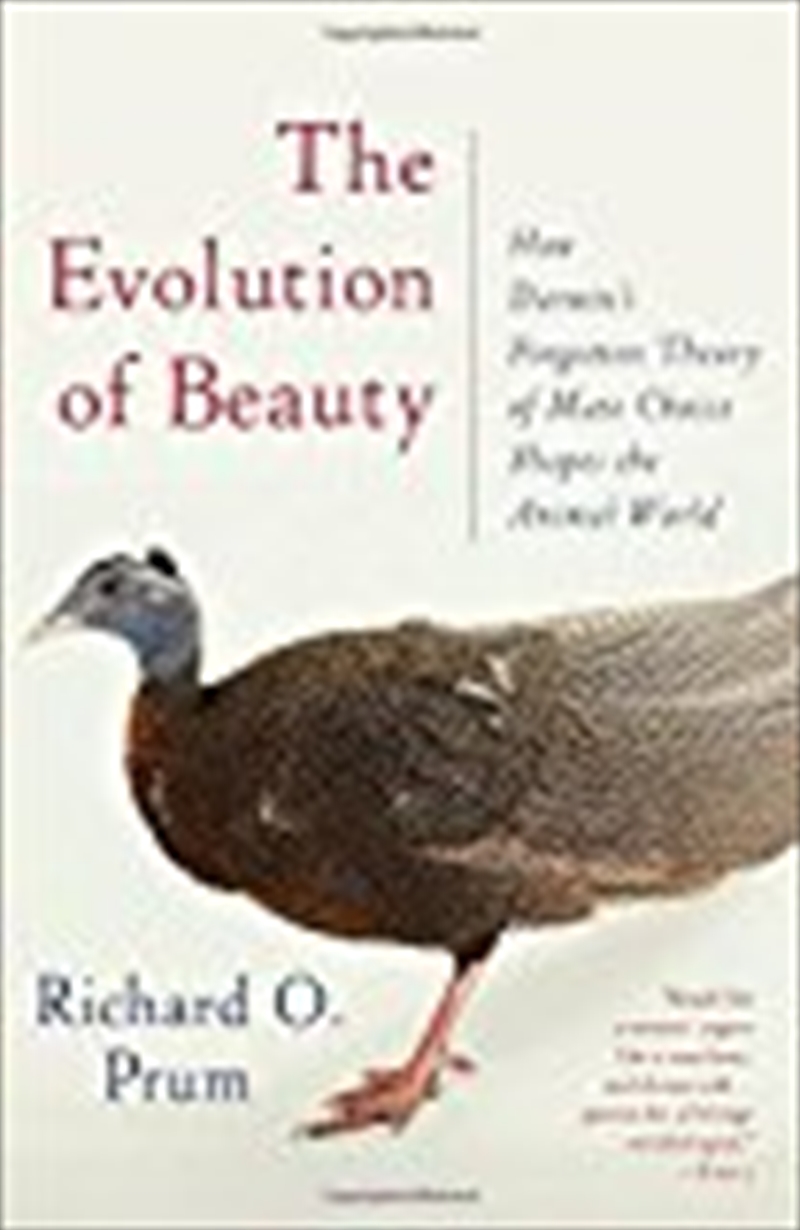 The Evolution Of Beauty/Product Detail/Reading