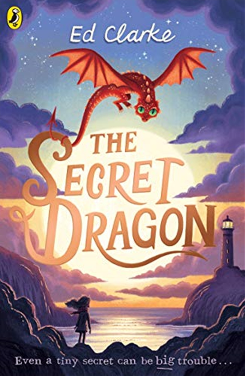 The Secret Dragon/Product Detail/Childrens Fiction Books