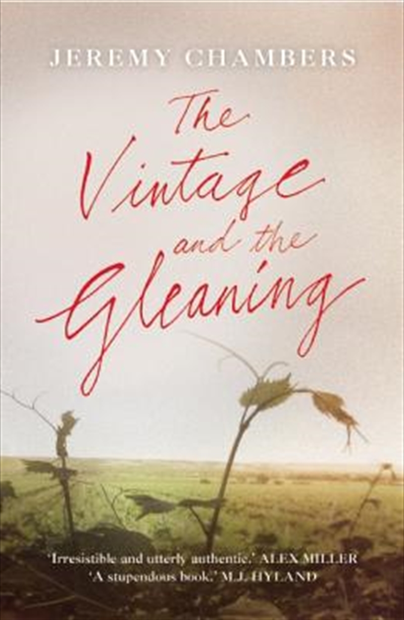 The Vintage and the Gleaning/Product Detail/Reading