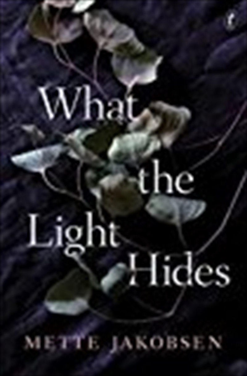 What the Light Hides/Product Detail/Reading