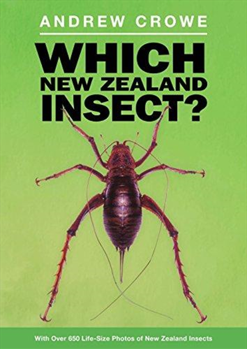 Which New Zealand Insect?/Product Detail/Children