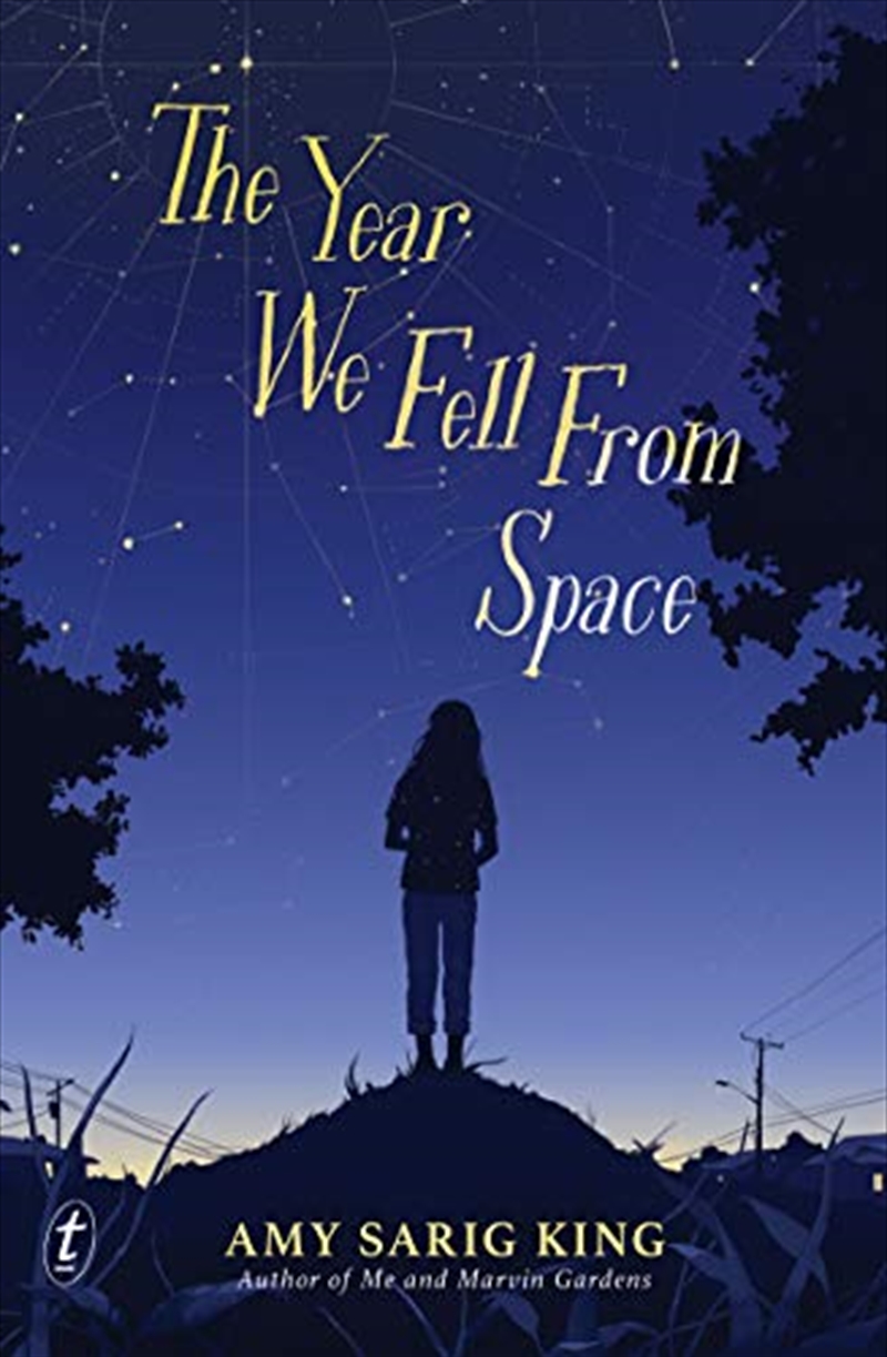 The Year We Fell From Space/Product Detail/Childrens Fiction Books