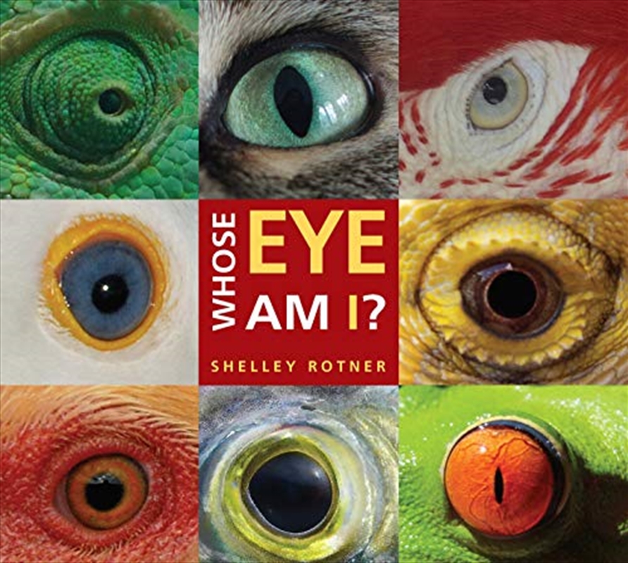 Whose Eye Am I?/Product Detail/Children