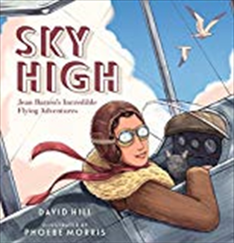 Sky High/Product Detail/Childrens Fiction Books